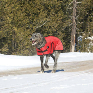 Shedrow K9 Tundra Dog Coat, Red