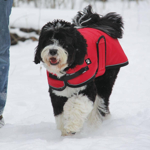 Shedrow K9 Tundra Dog Coat, Red
