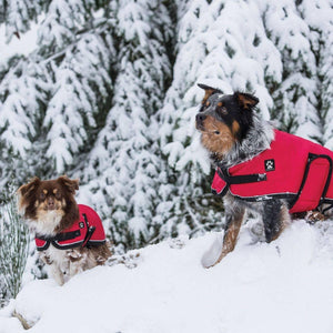 Shedrow K9 Tundra Dog Coat, Red
