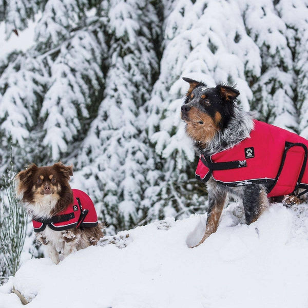 Shedrow K9 Tundra Dog Coat, Red