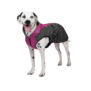 Shedrow K9 Manteau pour chien Chinook, Festival Fuchsia