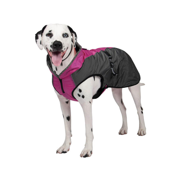Shedrow K9 Chinook Dog Coat, Festival Fuchsia