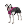 Shedrow K9 Chinook Dog Coat, Festival Fuchsia