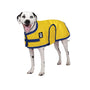 Shedrow K9 Harbour Dog Rain Jacket, Dandelion