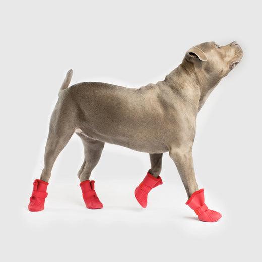 Canada Pooch Lined Wellies Dog Boots, Red