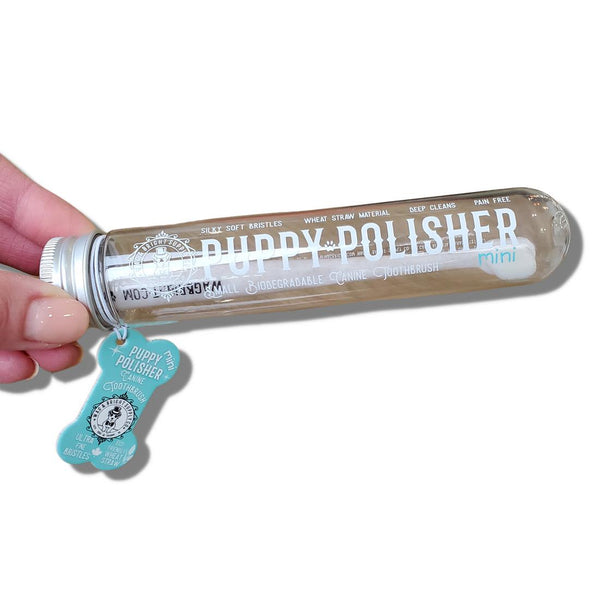 Wag & Bright Brosse à dents mini biodégradable Puppy Polisher pour chiots
