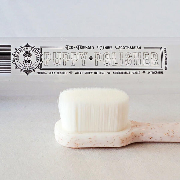 Wag & Bright Brosse à dents biodégradable Puppy Polisher pour chiots