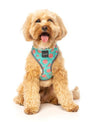 FuzzYard Dog Harness, Summer Punch