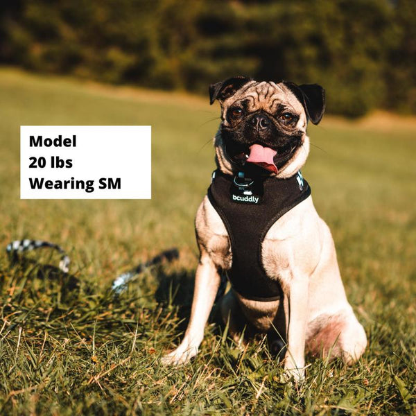 Bcuddly Control Dog Harness, Black
