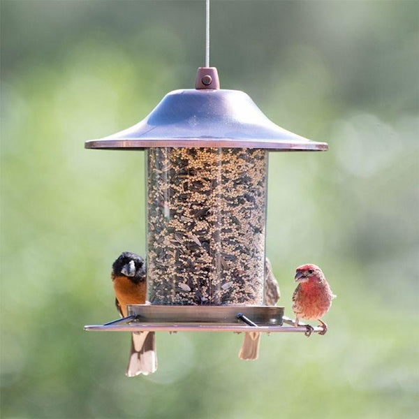 Perky-Pet Copper Finish Panorama Wild Bird Feeder