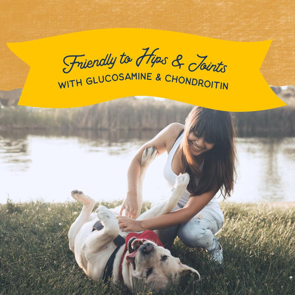 Natural Balance Rewards Jumpin' Stix avec vrai canard Friandises pour chiens