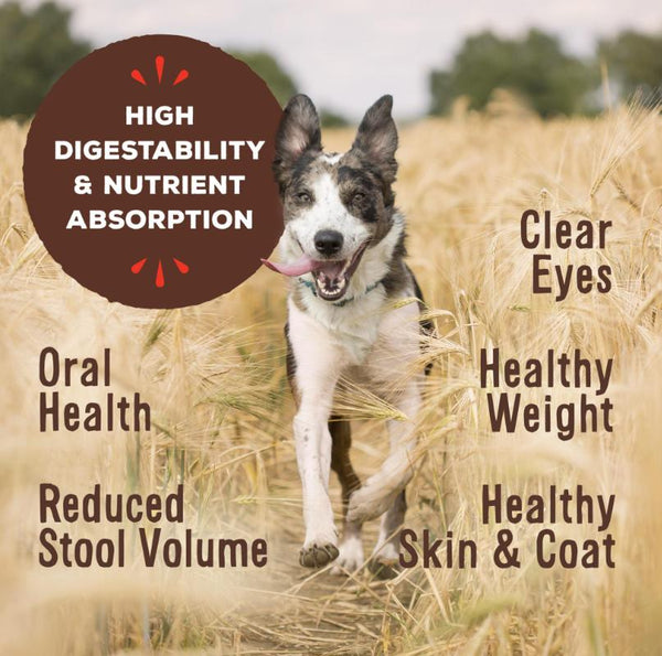 Primal Primal Pronto Puppy Formula Raw Frozen Dog Food