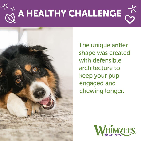 WHIMZEES Occupy Antler Natural Dental Dog Treats, Medium