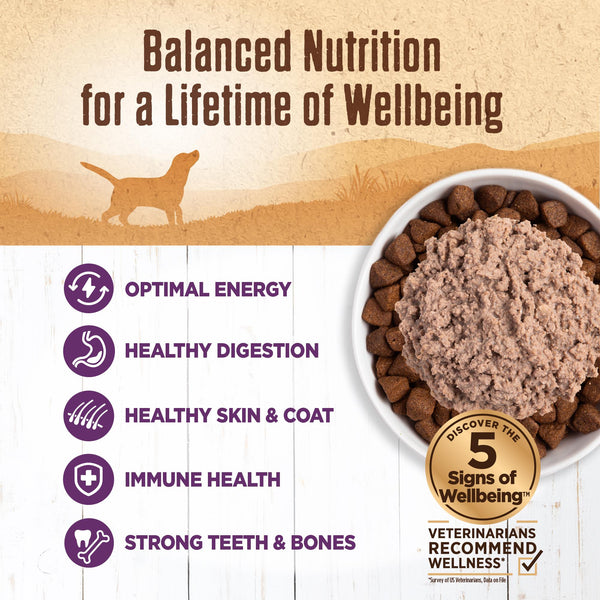Wellness 95% Chicken Grain-Free Wet Dog Food Can