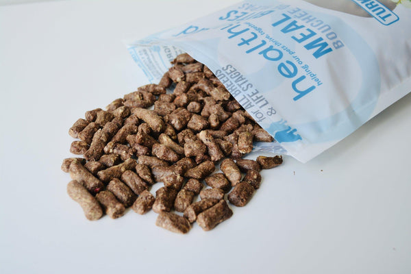 Healthybud Bouchées de dinde lyophilisées pour chiens