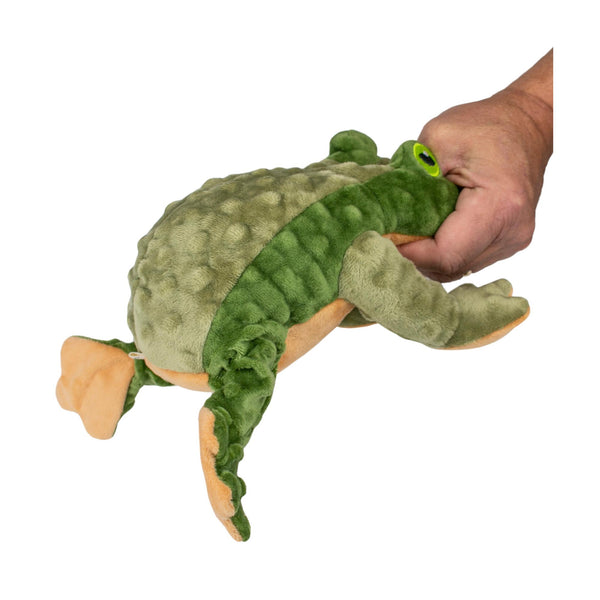 Tall Tails Animated Frog Dog Toy