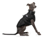 FuzzYard Veste Harnais Eastcoast pour Chien, Noir