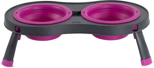Dexas Double Elevated Pet Feeder, Fuchsia
