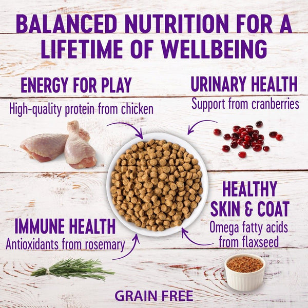 Wellness Complete Health Grain-Free Kitten Chicken Dry Cat Food