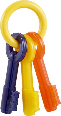 Nylabone Puppy Chew Teething Keys Dog Toy