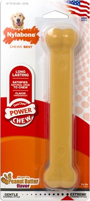 Nylabone DuraChew Peanut Butter Flavored Dog Chew Toy