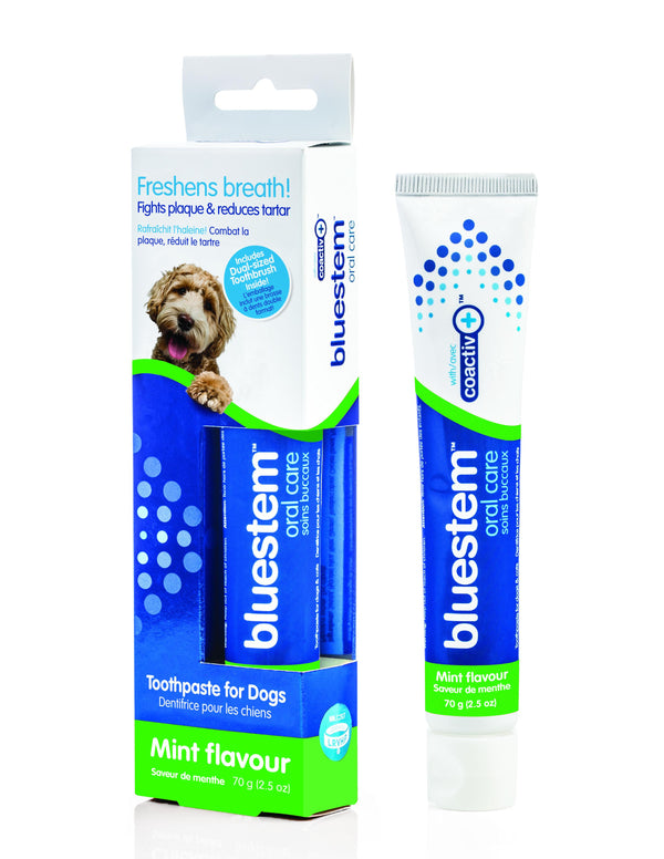 Bluestem Oral Care Vanilla Mint Toothpaste & Toothbrush for Dogs (CA)