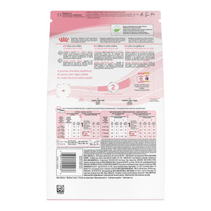 Royal Canin Feline Health Nutrition Nourriture sèche pour chattes gestantes et chatons