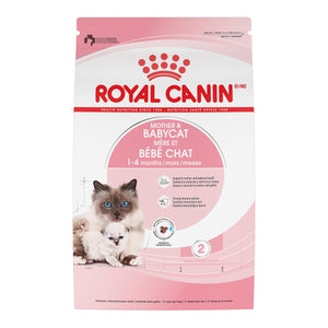 Royal Canin Feline Health Nutrition Nourriture sèche pour chattes gestantes et chatons