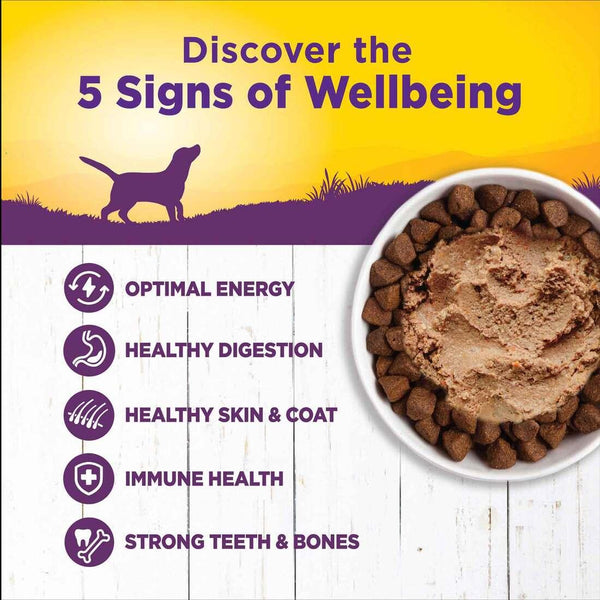 Wellness Complete Health Chicken & Sweet Potato Wet Dog Food Can