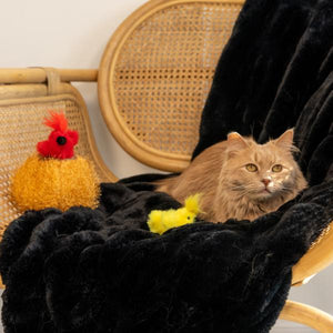 ZippyPaws Jouet pour chats ZippyClaws Burrow Bird's in Nest.