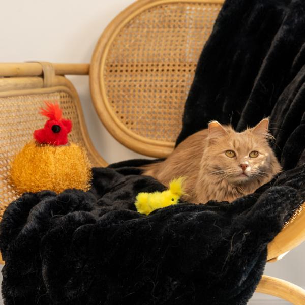 ZippyPaws Jouet pour chats ZippyClaws Burrow Bird's in Nest.
