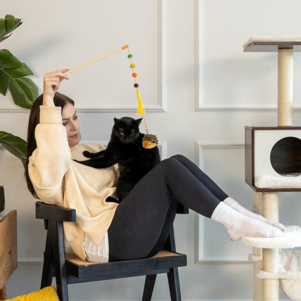 ZippyPaws ZippyClaws ZippyStick Jouet hérisson pour chat