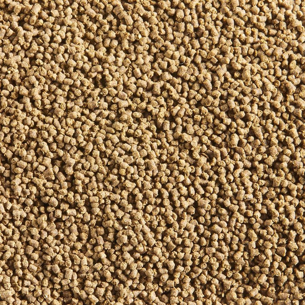 Aqueon Nutrinsect Fish-Free Tropical Pellets Fish Food