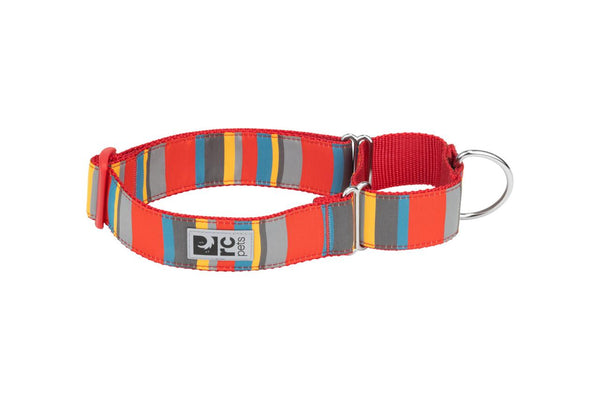 RC Pets All Webbing Training Dog Collar, Multi Stripes