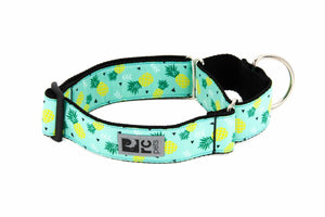RC Pets All Webbing Training Dog Collar, Pineapple Parade