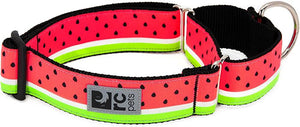 RC Pets All Webbing Training Dog Collar, Watermelon
