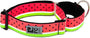 RC Pets All Webbing Training Dog Collar, Watermelon