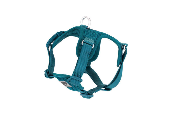 RC Pets Forte Step In Dog Harness, Dark Teal
