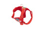 RC Pets Harnais Step-in Forte, Multi rayures