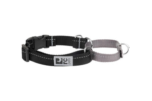 RC Pets Primary Web Training Clip Dog Collar, Black