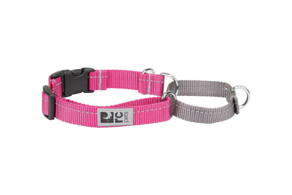 RC Pets Collier de dressage tout en sangles avec fermoir, Mûre