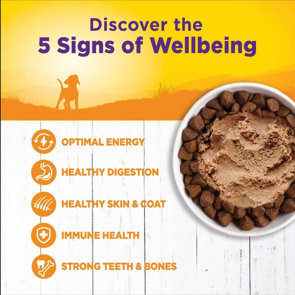 Wellness Complete Health Puppy Chicken & Salmon Wet Dog Food Can