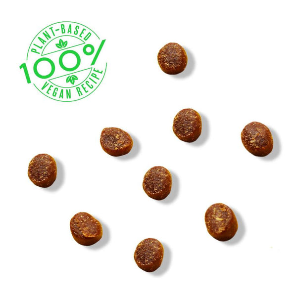 Bright Planet Better Burg'r Bites Plant-Based Training Dog Treats