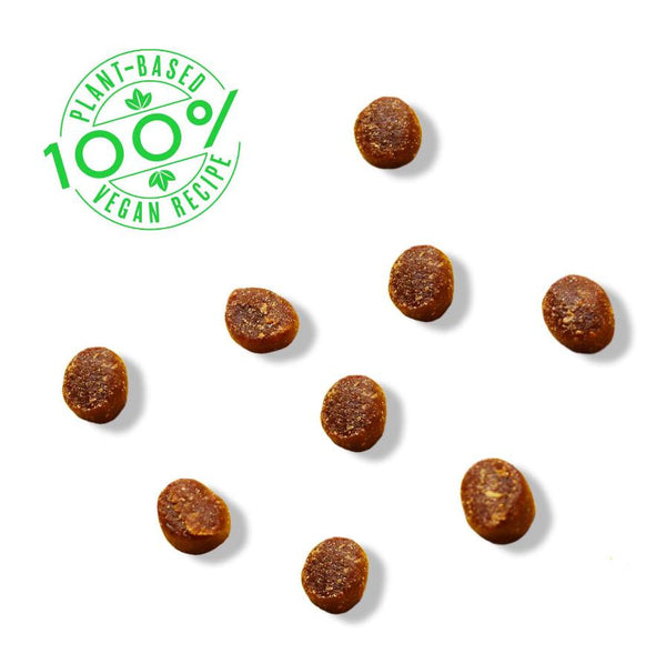 Bright Planet Better Bac'n Bites Plant-Based Training Dog Treats
