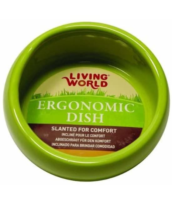 Living World Ergonomic Small Animal Dish, Green