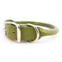 Auburn Leathercrafters Rolled Dog Collar, Green