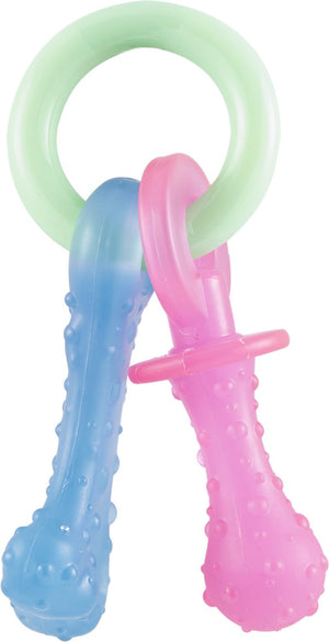Nylabone Puppy Chew Teething Pacifier Dog Toy