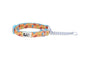 RC Pets Training Dog Collar, Popsicles
