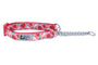 RC Pets Collier de dressage à motifs, Fraises