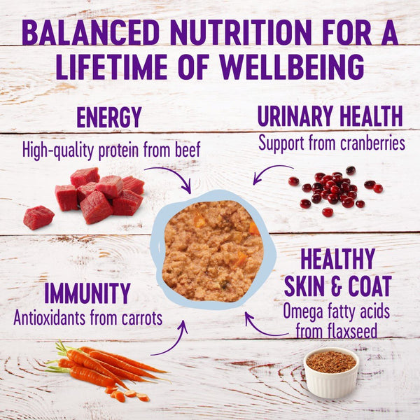 Wellness Complete Health Pate Beef & Salmon Formula Grain-Free Wet Cat Food Cans